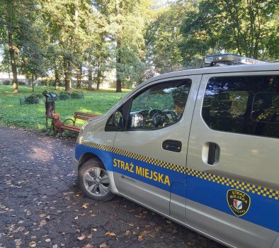 Pozostawiony w parku bez opieki pies rasy pitbull. Pies przywiązany został do śmietnika.
