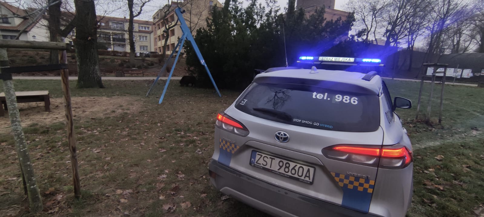 Na trawniku w parku stoi radiowóz Straży Miejskiej z włączonymi kogutami.