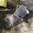 Rozbity kineskop telewizora i plastikowa obudowa porzucone na ziemi obok chodnika, w pobliżu krzewów i worka na odpady.